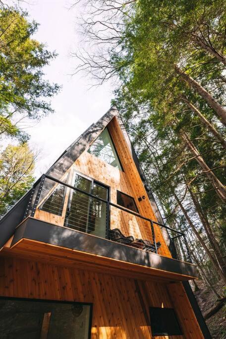 Dunlap Hollow A-Frame Rockbridge Exterior photo